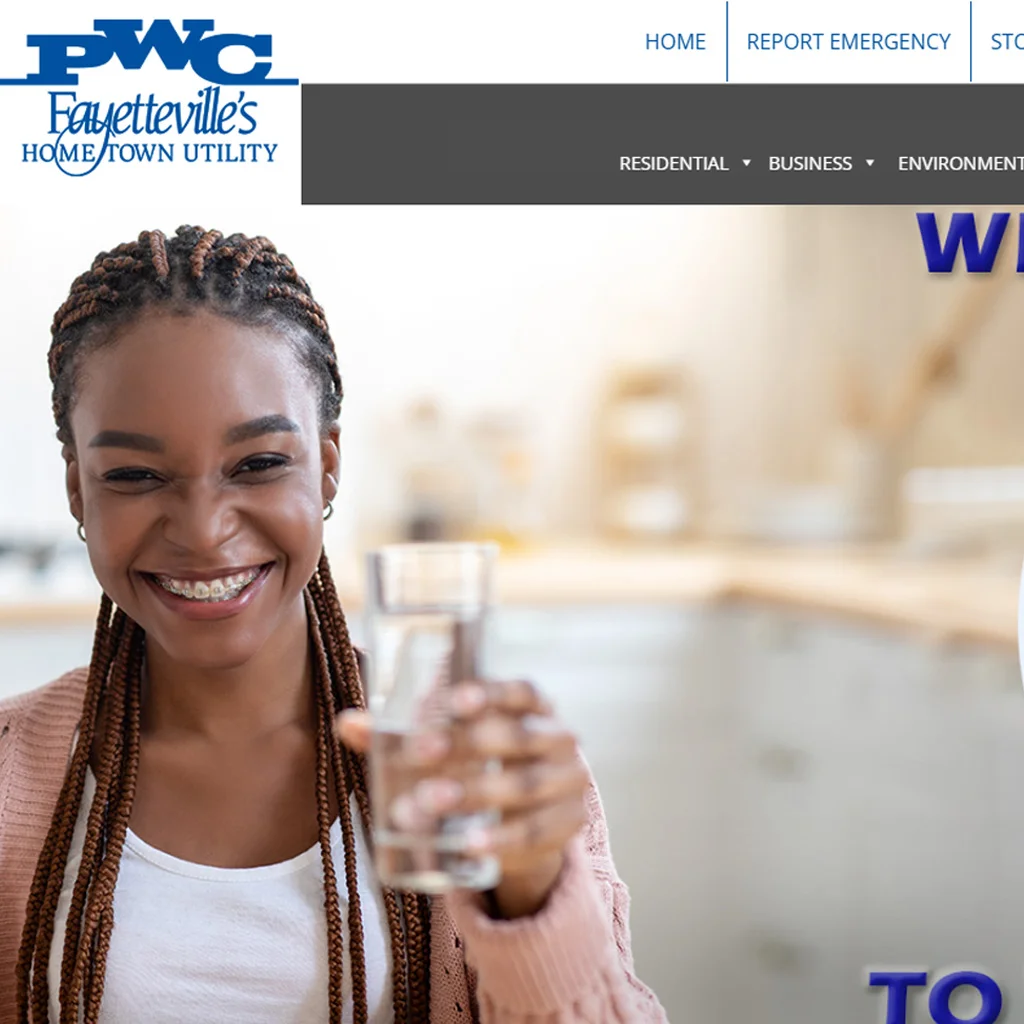 PCW Website Preview
